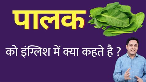 palamutak meaning